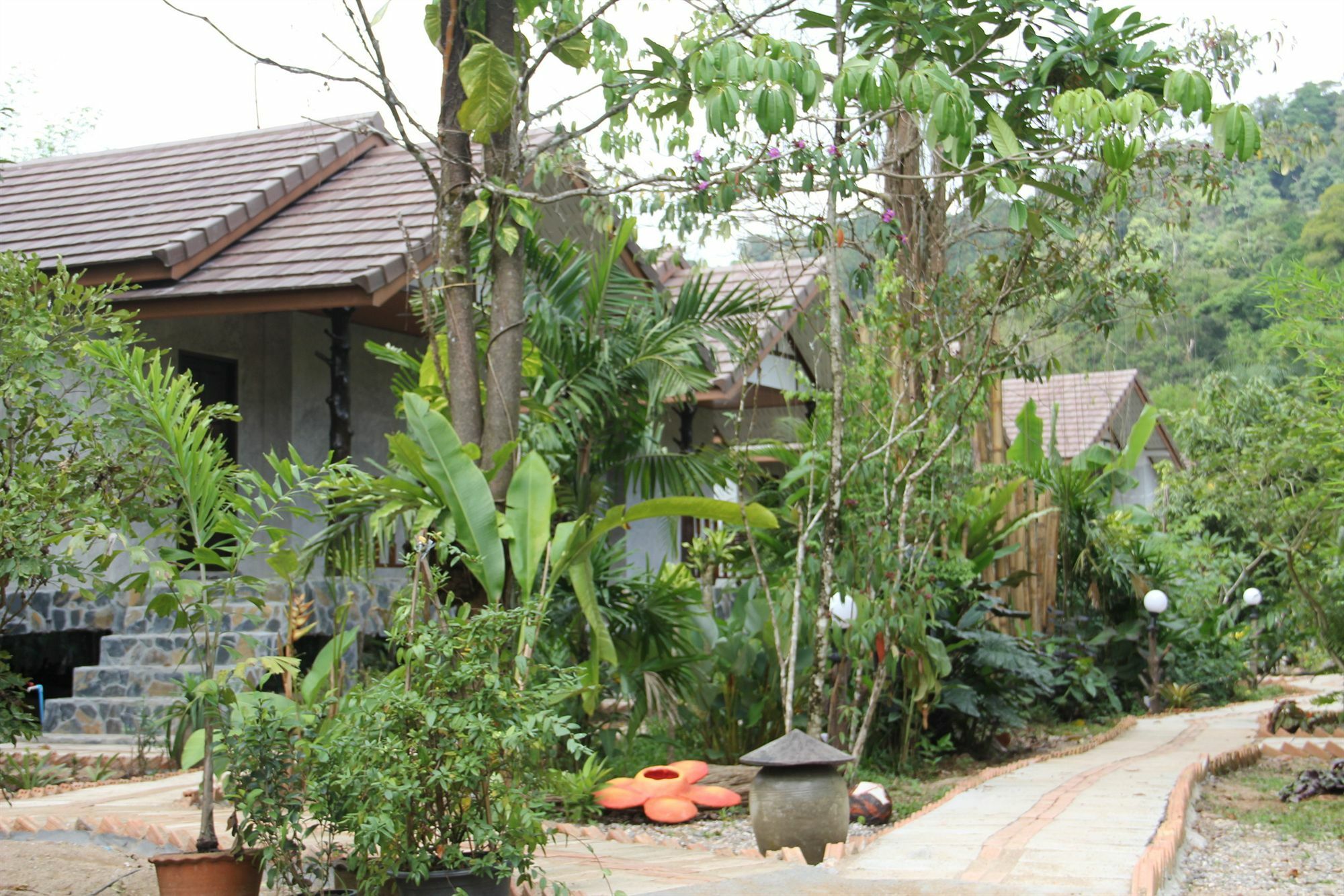 Khao Sok Green Valley Resort - Sha Certified Khao Sok National Park Ngoại thất bức ảnh